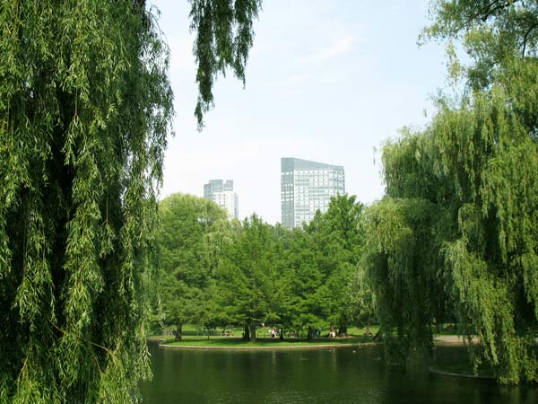 Boston Commons