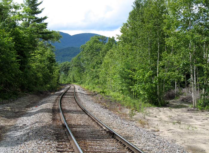 Railroad into Woods