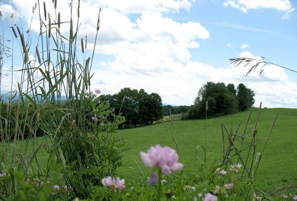 Vermont Scenery