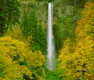 Multnomah 2