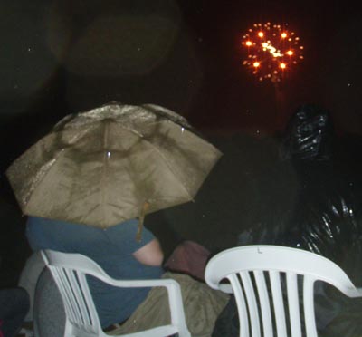 Fireworks in Rain